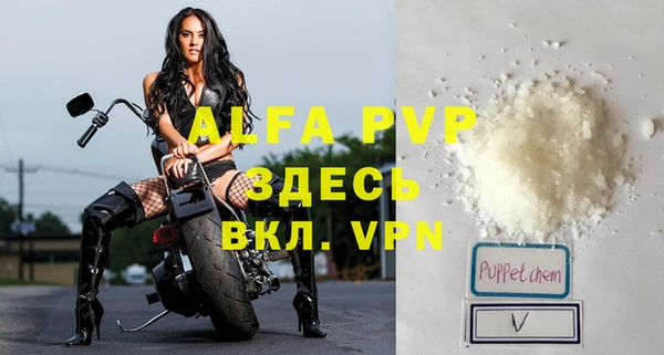 молекула духа Алексин